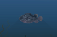 firehead1.jpg