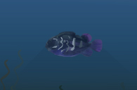 firehead2.jpg