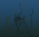 kelpfin.jpg
