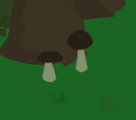 spider_cap_mushrooms