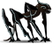 the_phantom_stalker