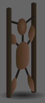 trainingrig.jpg
