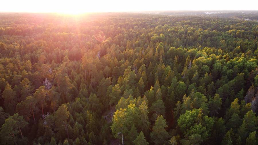 Click to view full size DJI_0177_edit.jpg