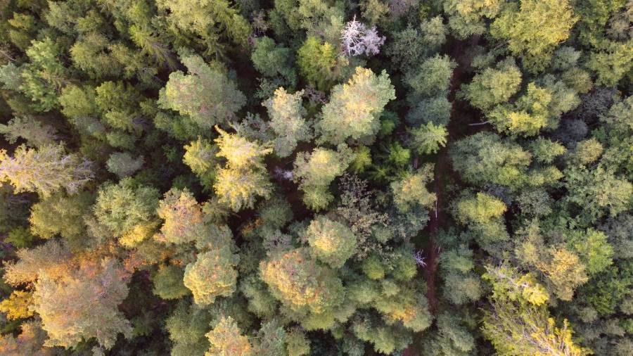 Click to view full size DJI_0178_edit.jpg