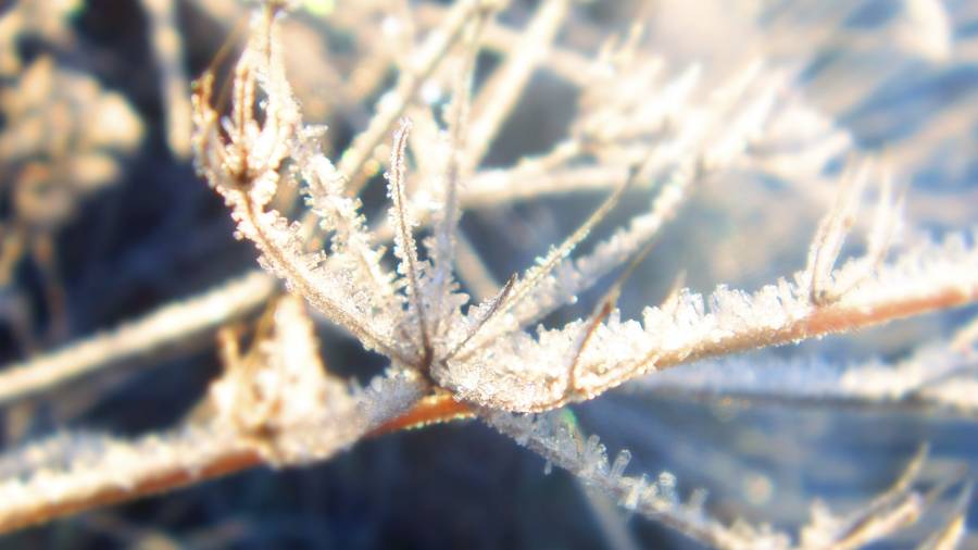 Click to view full size Frost.png
