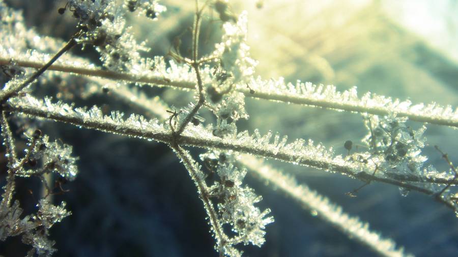 Click to view full size Frost2.png