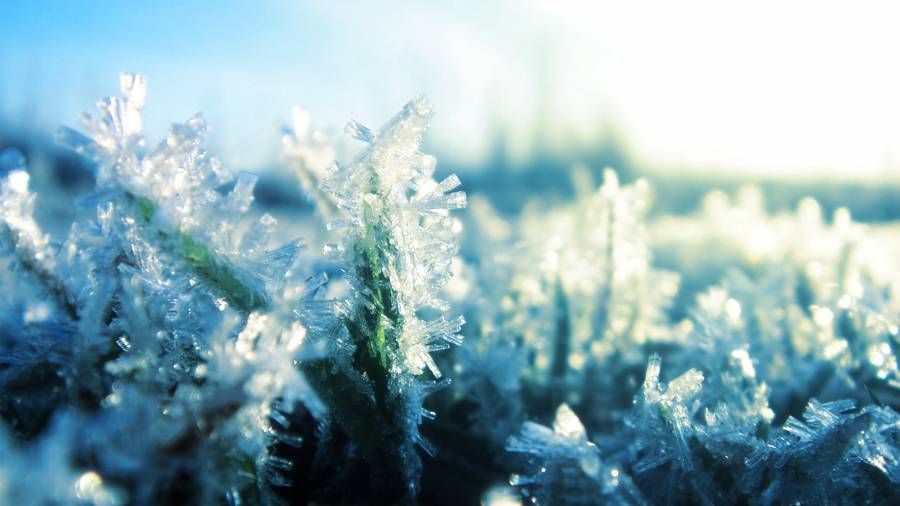 Click to view full size Frost3.png