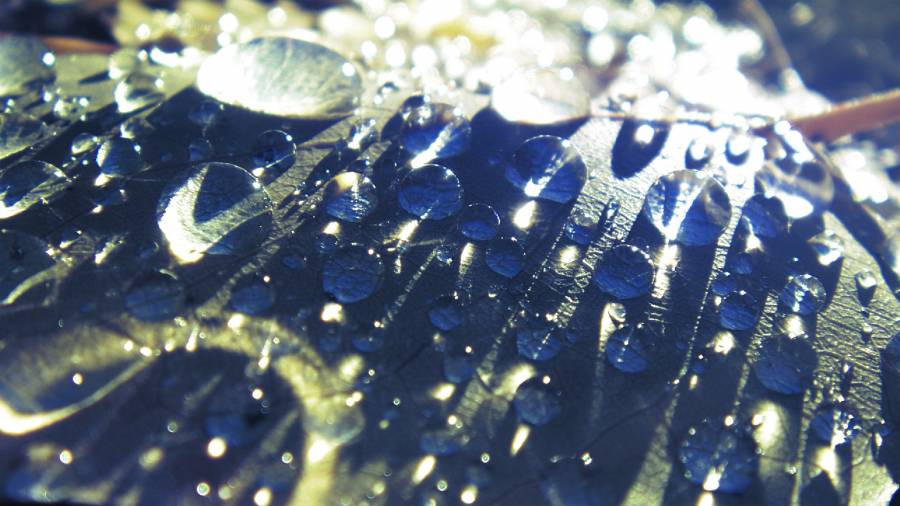 Click to view full size Raindrops.png